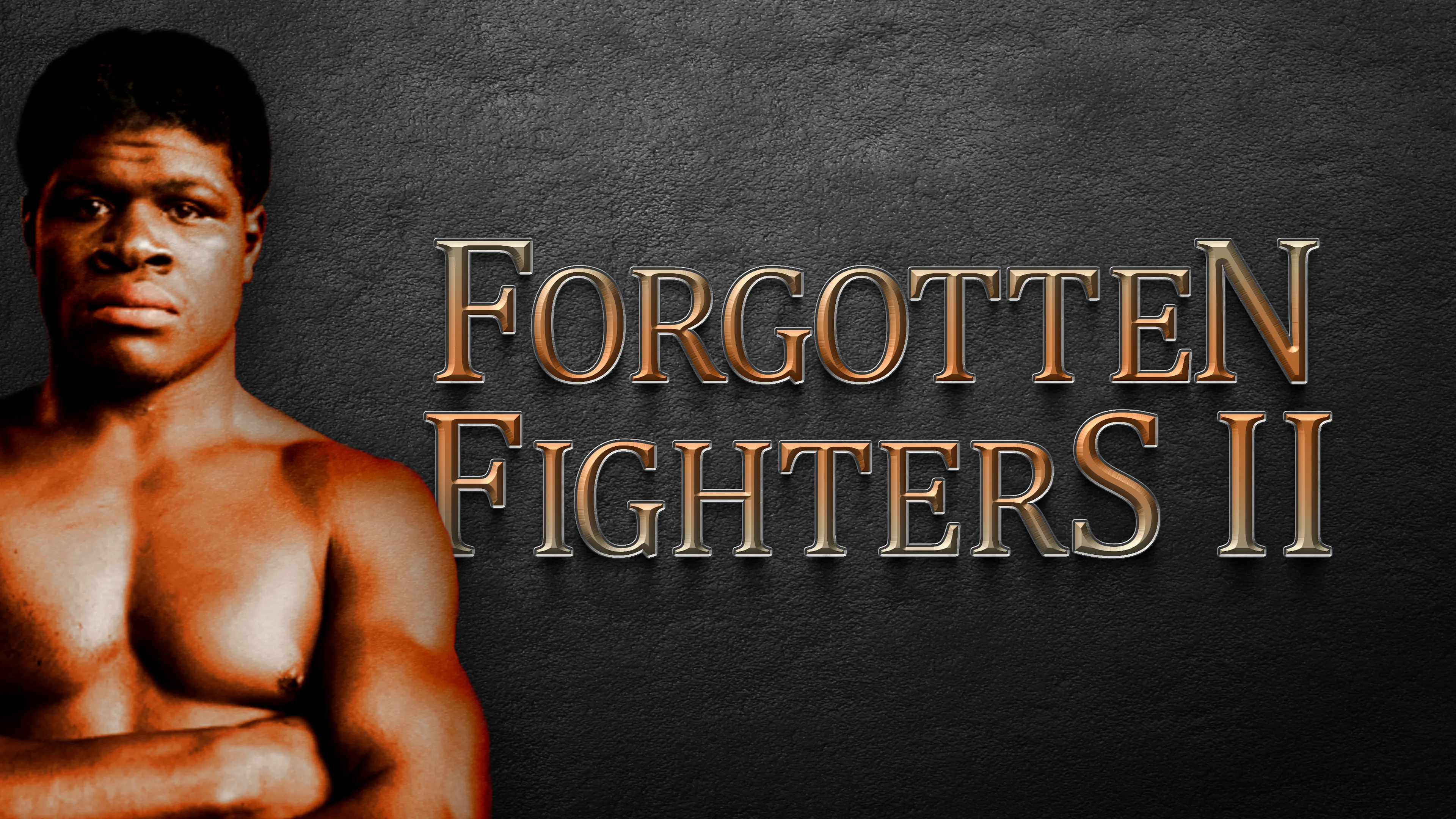 Forgotten Fighters II poster